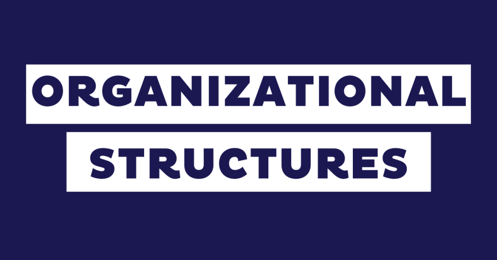 11 Types of Organizational Structures (+ Examples)